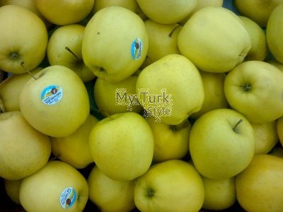 Fresh Apple Manufacturer in Turkiye